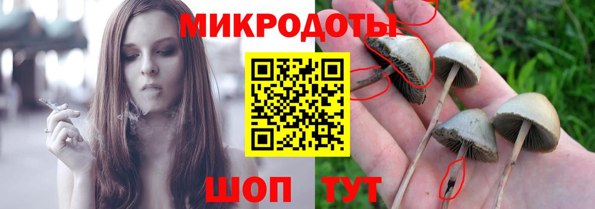 Новодвинск  Псилоцибиновые грибы Magic Shrooms  закладки  Вход с VPN 