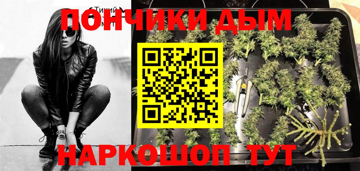 Новодвинск  Бошки марихуана марихуана  Бошки Шишки планчик  Бошки марихуана индика  МАРИХУАНА марихуана  Вход с VPN 
